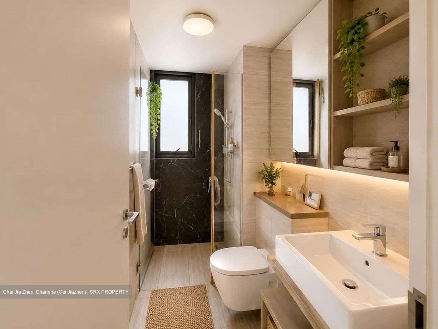 Sky Green (D13), Condominium #580203211